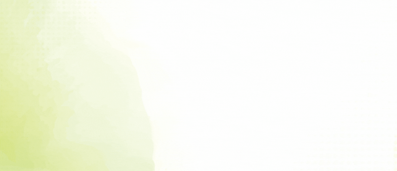 flash banner website v2